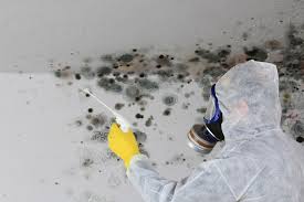 Mold Removal for HVAC Installations